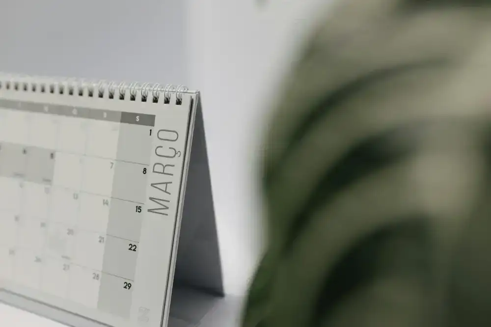 Professional managing their calendar and correspondence